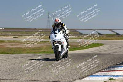 media/Mar-24-2025-2WTD (Mon) [[55b4b08488]]/B Group/1220pm (Wheelie Bump)/
